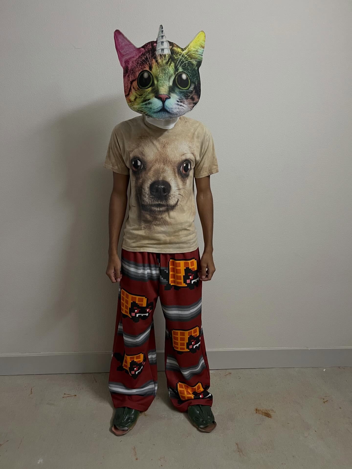 Hip Hop Nyan Cat Sweatpants Y2 - Street Fashion Types 评论和价格